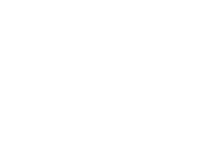 The White Clean Company Ltd. Logo